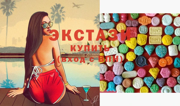 ECSTASY Богородск