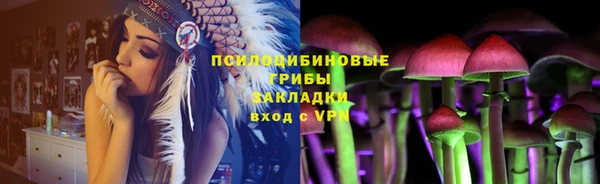 ECSTASY Богданович