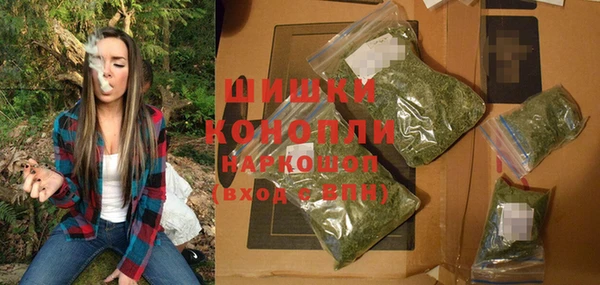 ECSTASY Богородск