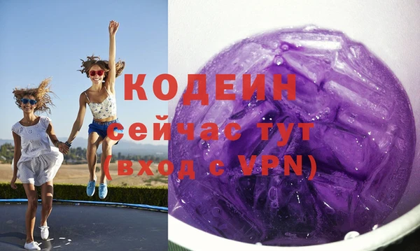 ECSTASY Богданович