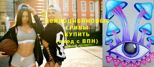 ECSTASY Богданович