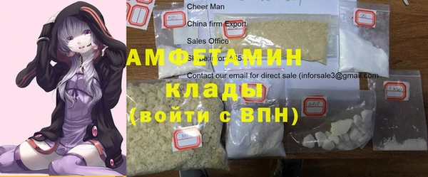 ECSTASY Богданович