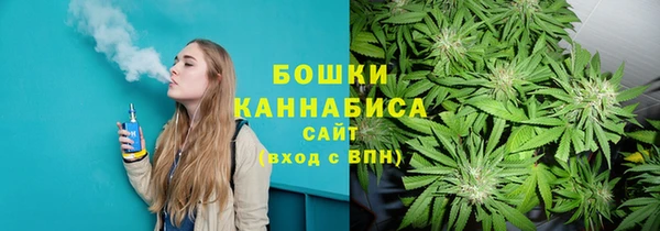 эйфоретик Щигры