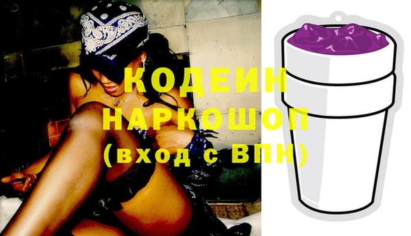 ECSTASY Богданович